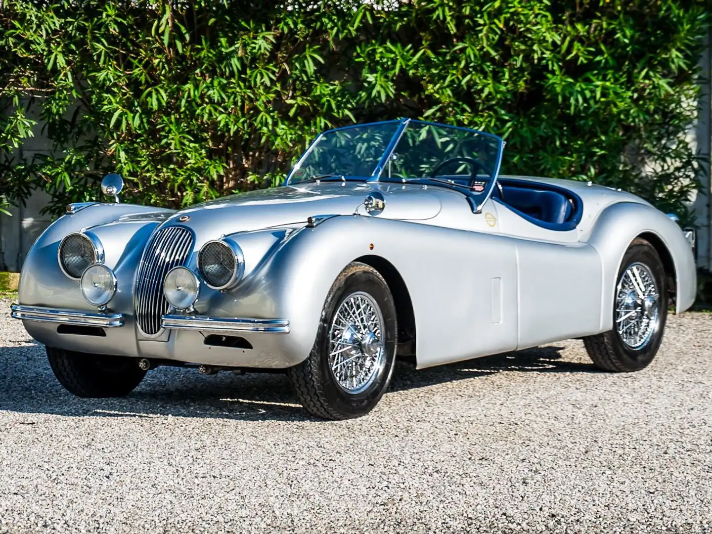 Jaguar XK 120 Сірий - 1