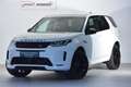 Land Rover Discovery Sport Discovery  Sport D165 4WD R-Dynamic S Aut. Weiß - thumbnail 2