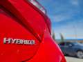 Toyota Yaris Yaris 5p 1.5h Cool my18 Rouge - thumbnail 8