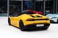 Lamborghini Huracán Spyder LP610*LIFT*20"LM*LEDER*NAVI*SHZ* Amarillo - thumbnail 10