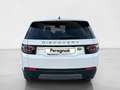 Land Rover Discovery Sport 2.0 TD4 150 CV SE Blanc - thumbnail 7