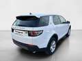 Land Rover Discovery Sport 2.0 TD4 150 CV SE Blanc - thumbnail 2