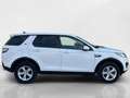 Land Rover Discovery Sport 2.0 TD4 150 CV SE Blanc - thumbnail 6