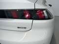 Peugeot 508 5P Allure Pack BlueHDi 130 SS EAT8 Blanco - thumbnail 38
