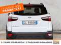 Ford EcoSport 1.0 ecoboost active s&s 125cv Bianco - thumbnail 5