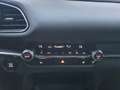 Mazda CX-30 EXCLUSIVE ++Kamera+Navi+ACC++ Wit - thumbnail 15