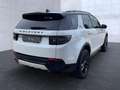 Land Rover Discovery Sport D200 Dynamic SE Weiß - thumbnail 3
