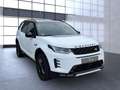 Land Rover Discovery Sport D200 Dynamic SE Weiß - thumbnail 18