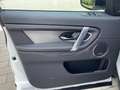 Land Rover Discovery Sport D200 Dynamic SE Weiß - thumbnail 15