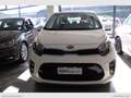 Kia Picanto 1.0 12V EcoGPL 5p. Style Bianco - thumbnail 1