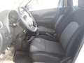 Nissan Micra 1.2 12V 5 porte Comfort *AUTOCARRO 5 POSTI* Blanc - thumbnail 16