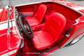 MG Midget MK1 1.300 - New Engine  - Rouge - thumbnail 9