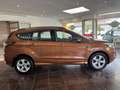 Ford Kuga ST-Line*Voll-Option-SHZ* NAVI*PANO*TPM* Braun - thumbnail 7
