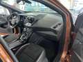 Ford Kuga ST-Line*Voll-Option-SHZ* NAVI*PANO*TPM* Braun - thumbnail 19