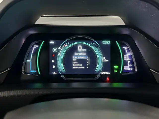 Hyundai Ioniq view 18