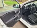 Volvo V40 T2 Kinetic Weiß - thumbnail 9