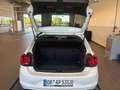 Volkswagen Polo 1.0 TSI United NAVI APP SHZ PDC AirCare Weiß - thumbnail 7