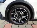Ford Focus Traveller 1,5 EcoBoost Active Business Aut. Weiß - thumbnail 11