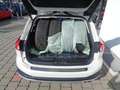 Ford Focus Traveller 1,5 EcoBoost Active Business Aut. Blanco - thumbnail 4