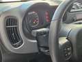 Fiat Panda 1.0 FireFly S&S Hybrid City Life da €119,00 mens Blu/Azzurro - thumbnail 7