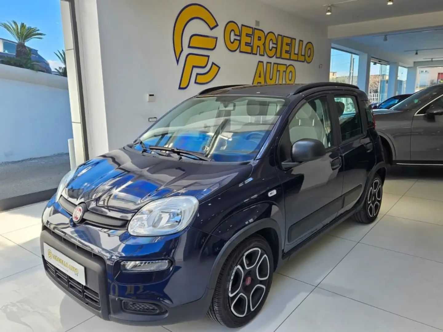 Fiat Panda 1.0 FireFly S&S Hybrid City Life da €119,00 mens Blu/Azzurro - 2