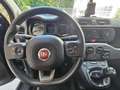 Fiat Panda 1.0 FireFly S&S Hybrid City Life da €119,00 mens Blu/Azzurro - thumbnail 9