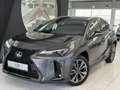 Lexus UX 300h Grau - thumbnail 1