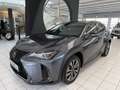 Lexus UX 300h Grau - thumbnail 3