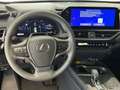 Lexus UX 300h Grau - thumbnail 12