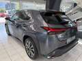 Lexus UX 300h Grau - thumbnail 5