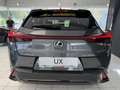 Lexus UX 300h Grau - thumbnail 6