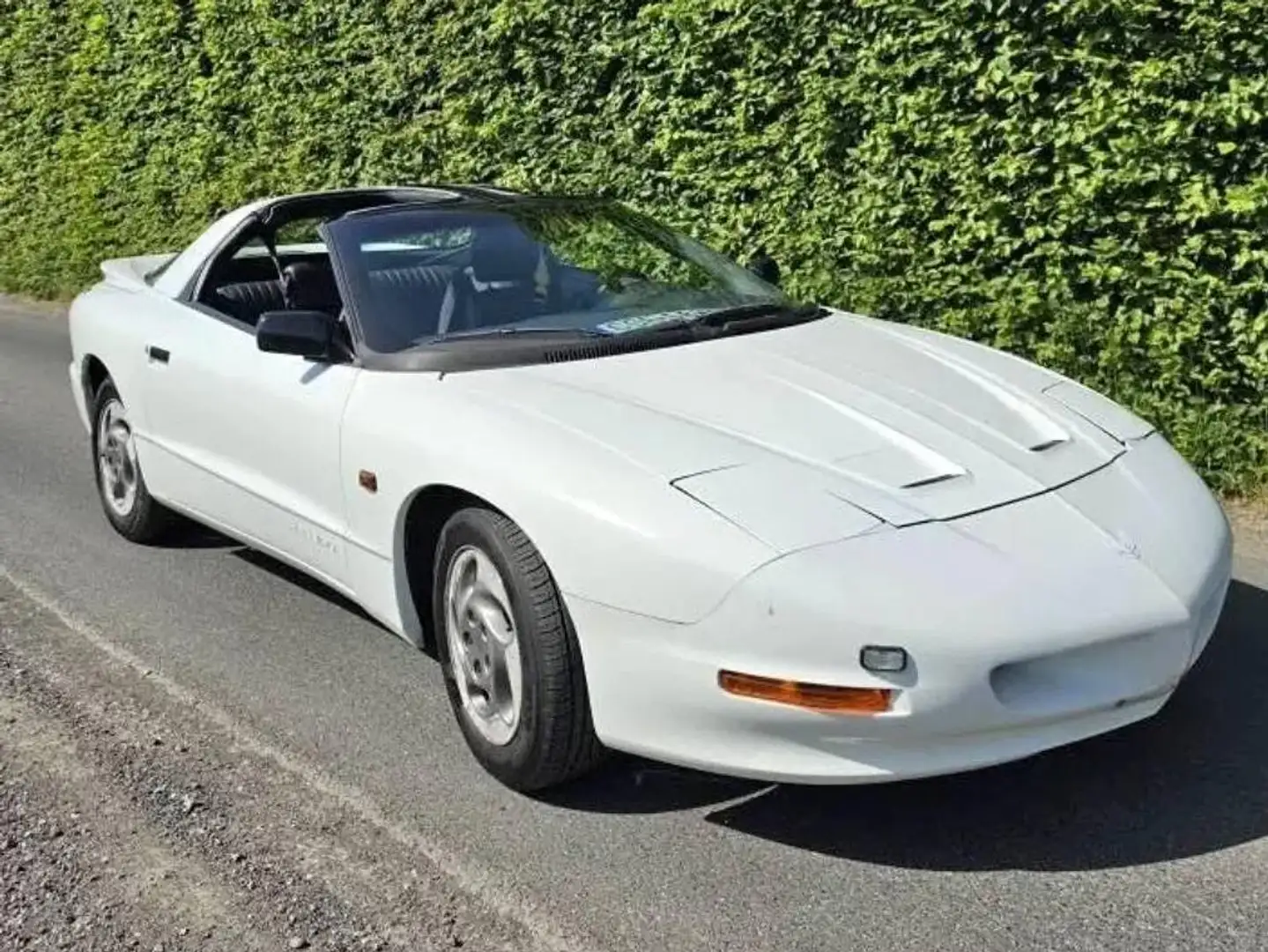 Pontiac Firebird 3.4i V6 Weiß - 1