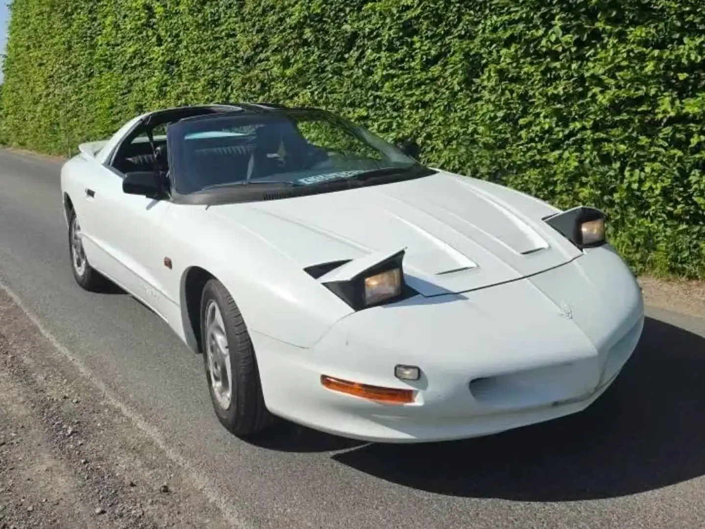 Pontiac Firebird 3.4i V6 Weiß - 2