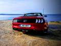 Ford Mustang Mustang 5,0 Ti-VCT V8 GT Cabrio Aut. GT Rot - thumbnail 7