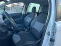 Citroen C3 1.1 Business - PER NEOPATENTATO - Bianco - thumbnail 5