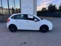 Citroen C3 1.1 Business - PER NEOPATENTATO - Bianco - thumbnail 12