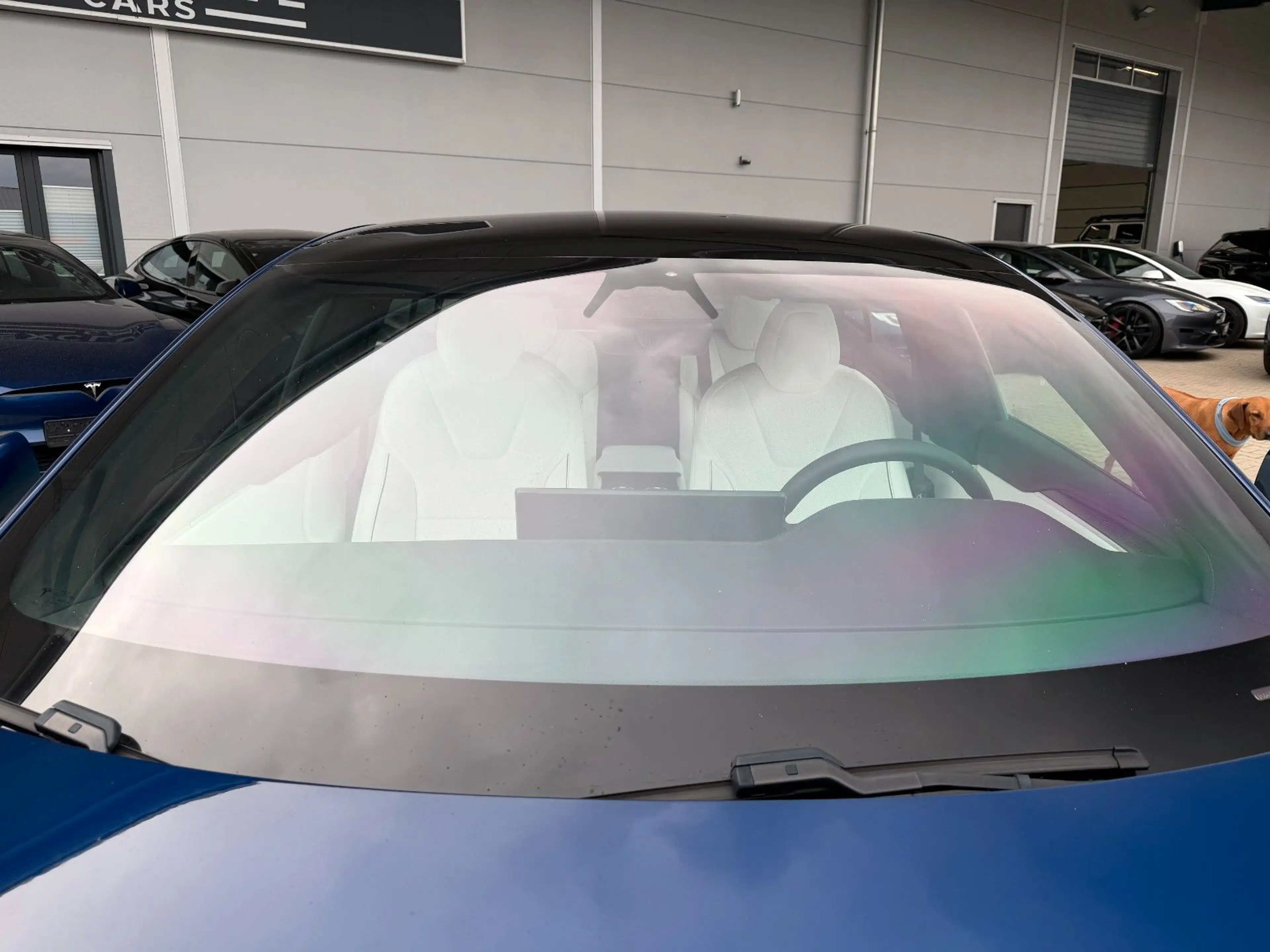 Tesla Model S MODEL S PLAID | MATRIX LED | 21INCH | HARDWARE 4 — photo 12