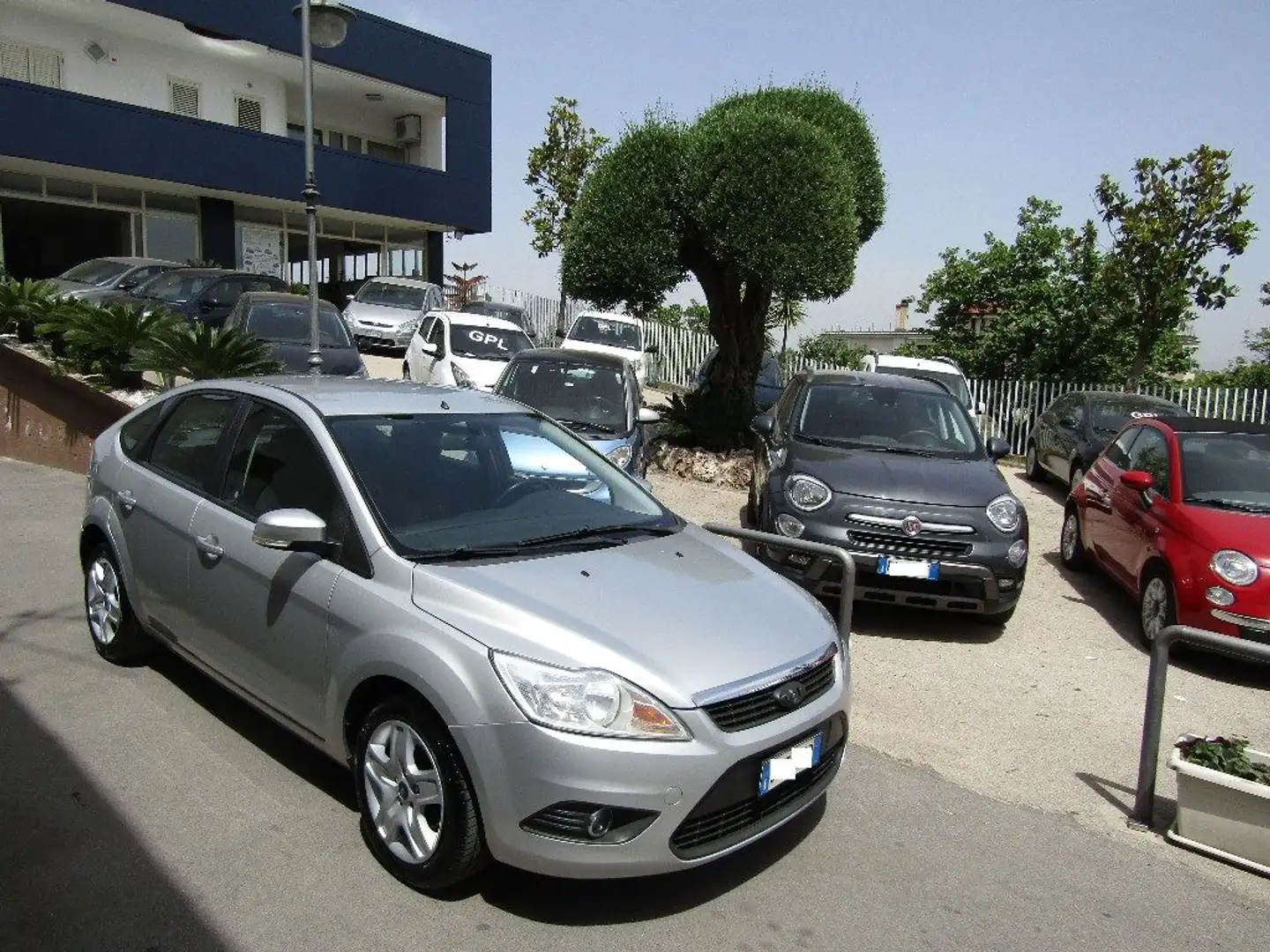 Ford Focus + 1.6 TDCi (110CV) 5p. Grigio - 2