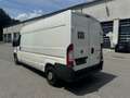 Fiat Ducato 35 130 L4H2 Weiß - thumbnail 2