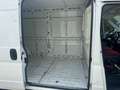 Fiat Ducato 35 130 L4H2 Weiß - thumbnail 11