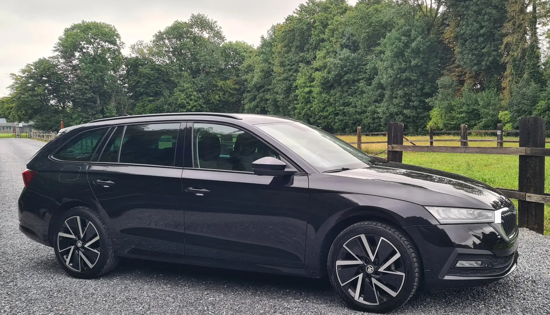 Skoda Octavia Octavia SW 1.5 TSI - GARANTIE Siyah - 1