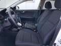 Kia Stonic Stonic 1.2 dpi Style 84cv Blu/Azzurro - thumbnail 12