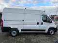 Fiat Ducato Kasten 35 140 L2H2 Facelift Navi Service Blanc - thumbnail 8