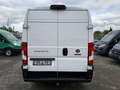Fiat Ducato Kasten 35 140 L2H2 Facelift Navi Service Blanc - thumbnail 5