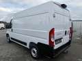 Fiat Ducato Kasten 35 140 L2H2 Facelift Navi Service Blanc - thumbnail 6