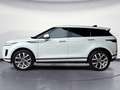 Land Rover Range Rover Evoque Range Rover Evoque 2.0d i4 mhev SE awd 150cv auto Bianco - thumbnail 3