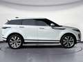 Land Rover Range Rover Evoque Range Rover Evoque 2.0d i4 mhev SE awd 150cv auto Bianco - thumbnail 6