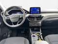 Ford Kuga 2.0 EcoBlue 4x4 Aut. TITANIUM 88 kW, 5-türig Schwarz - thumbnail 8