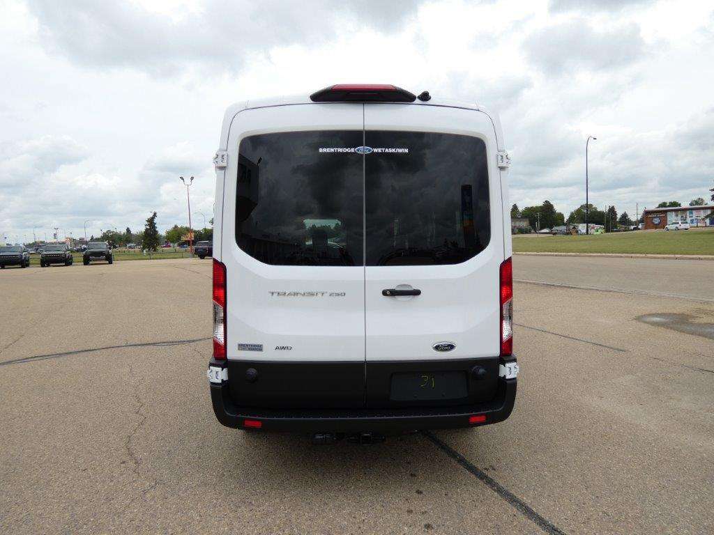 Image 6