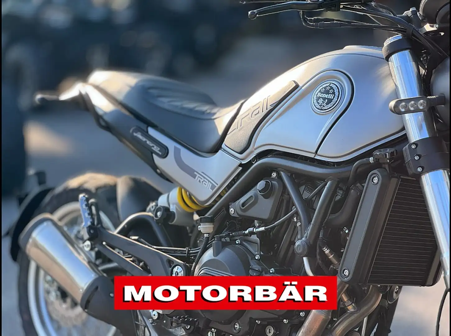 Benelli Leoncino Leoncino 500 Trail Серебристый - 2
